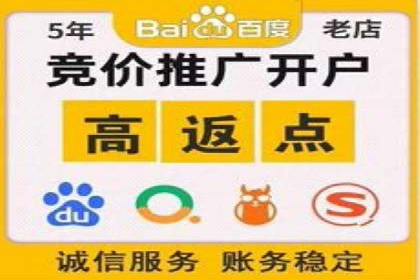 短视频平台的SEM推广实践与效果